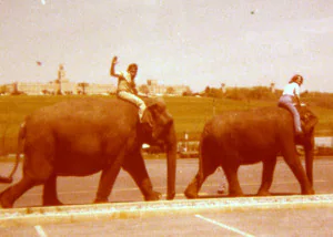 MichealZiantsRinglingBrosCircusParadeHersheyPaMay1978